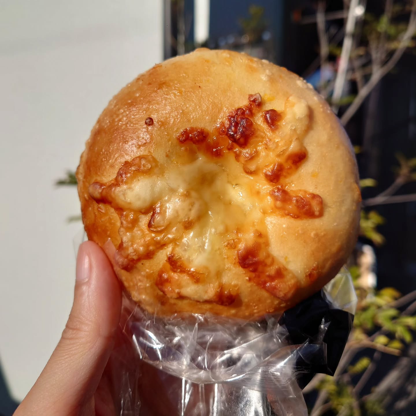 バニトイ ベーグル 国分寺店