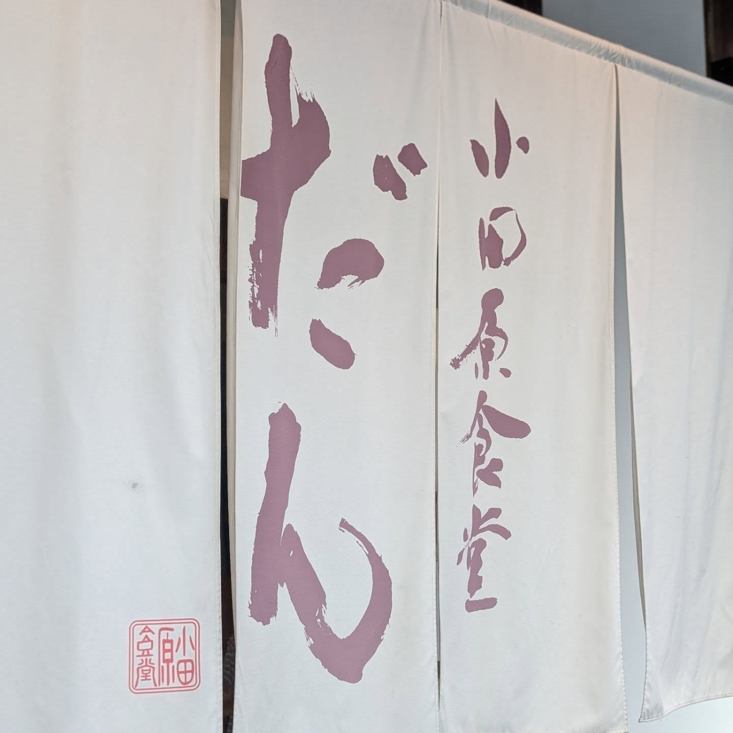 超新鮮な海鮮がコスパ良く楽しめる食堂！