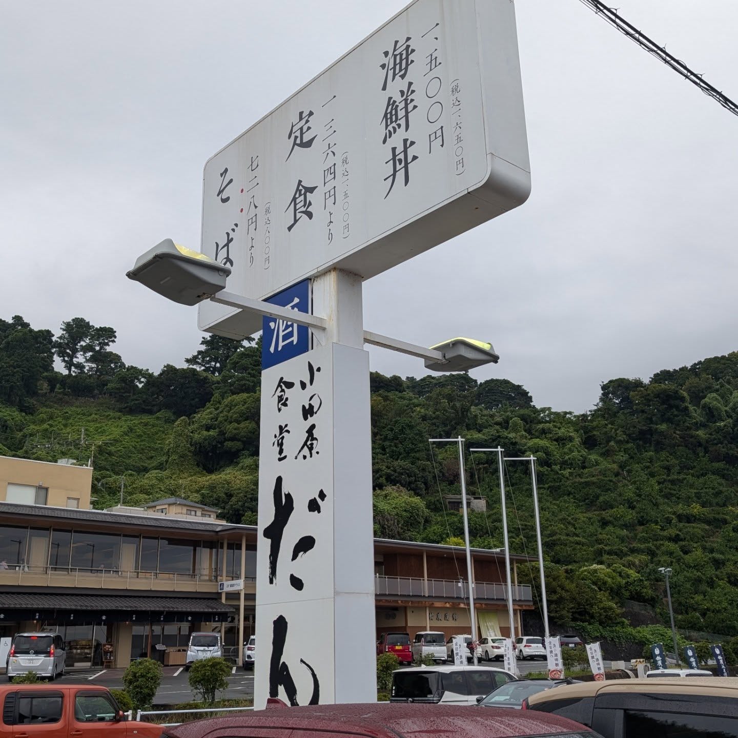 超新鮮な海鮮がコスパ良く楽しめる食堂！