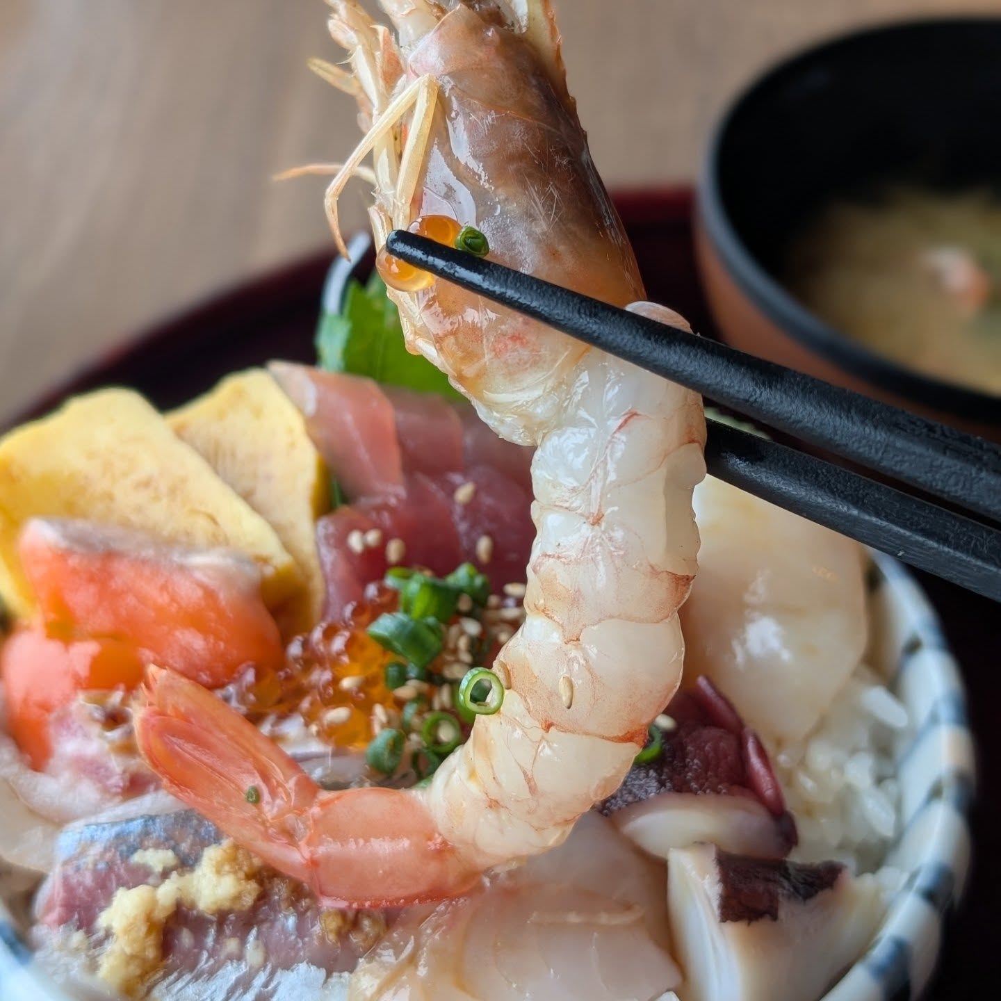 超新鮮な海鮮がコスパ良く楽しめる食堂！