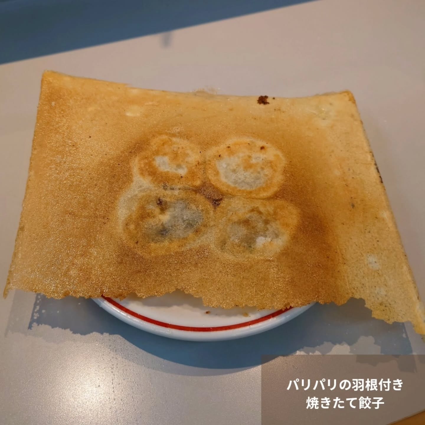デートにもおすすめ!オシャレでコスパも良い餃子店